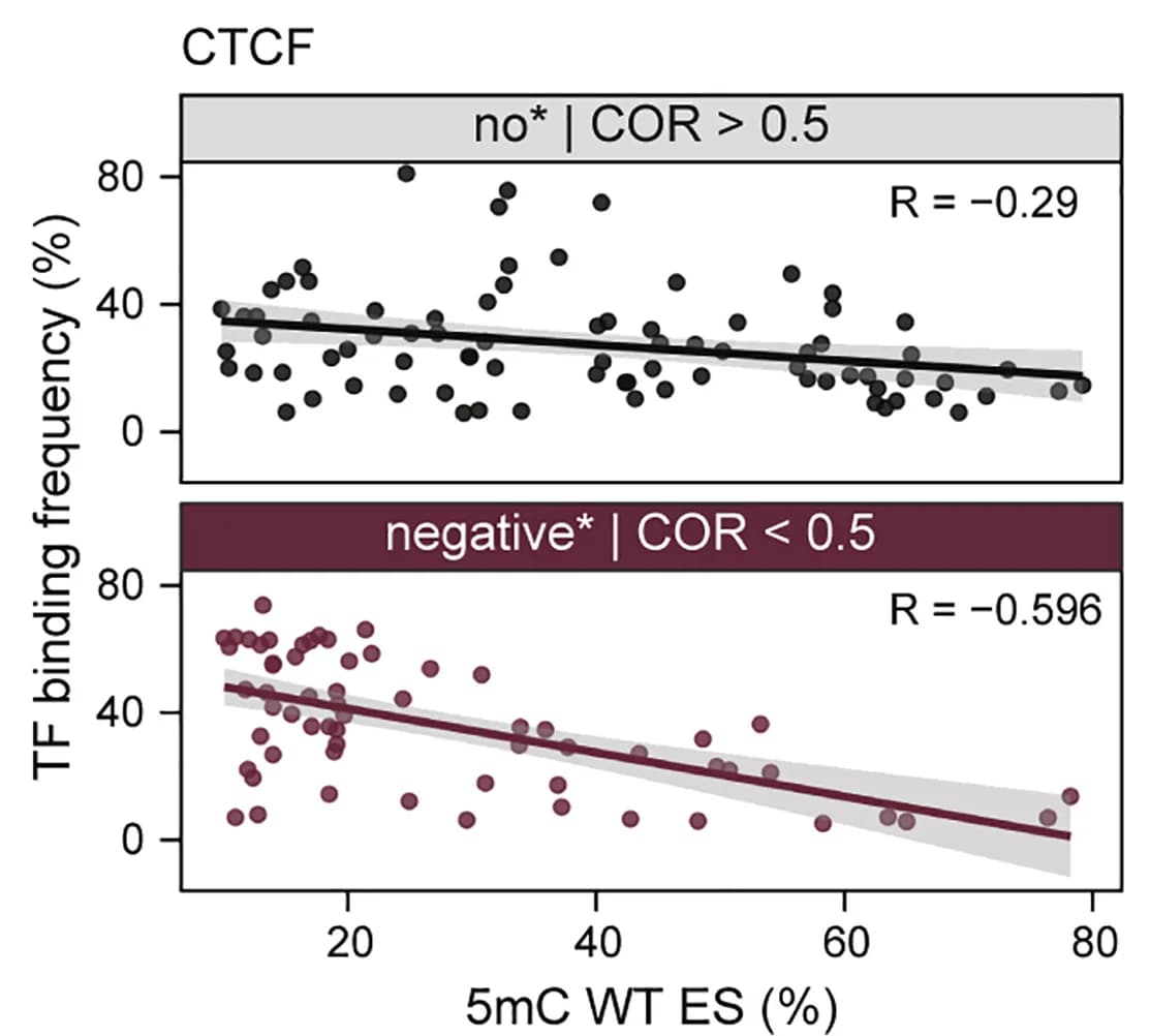 Open access visualization of Scatter Plot, Regression Plot, TF Occupancy, 5mC Levels, 5mC-TF Association