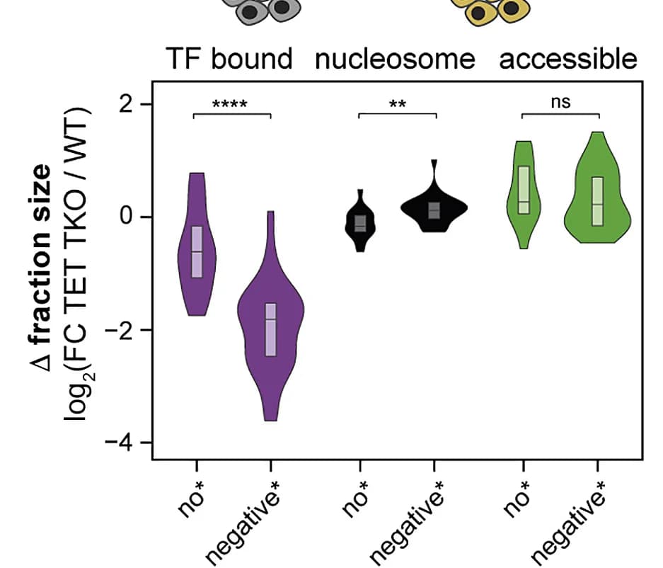 Open access visualization of Violin Plot, Box Plot, TFs, DNA Methylation, TET TKOs