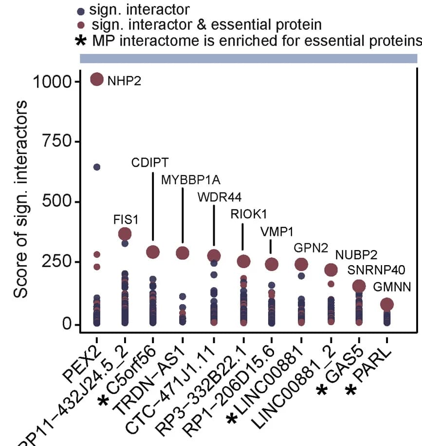Open access visualization of Scatter Plot, Bubble Plot, Interaction Scores, Young Microproteins, Essential Proteins