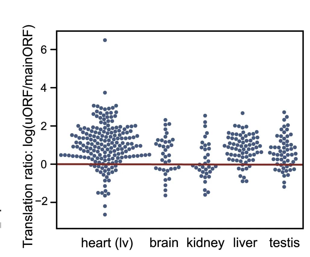 Open access visualization of Scatter Plot, P-sites, uORFs, mainORFs