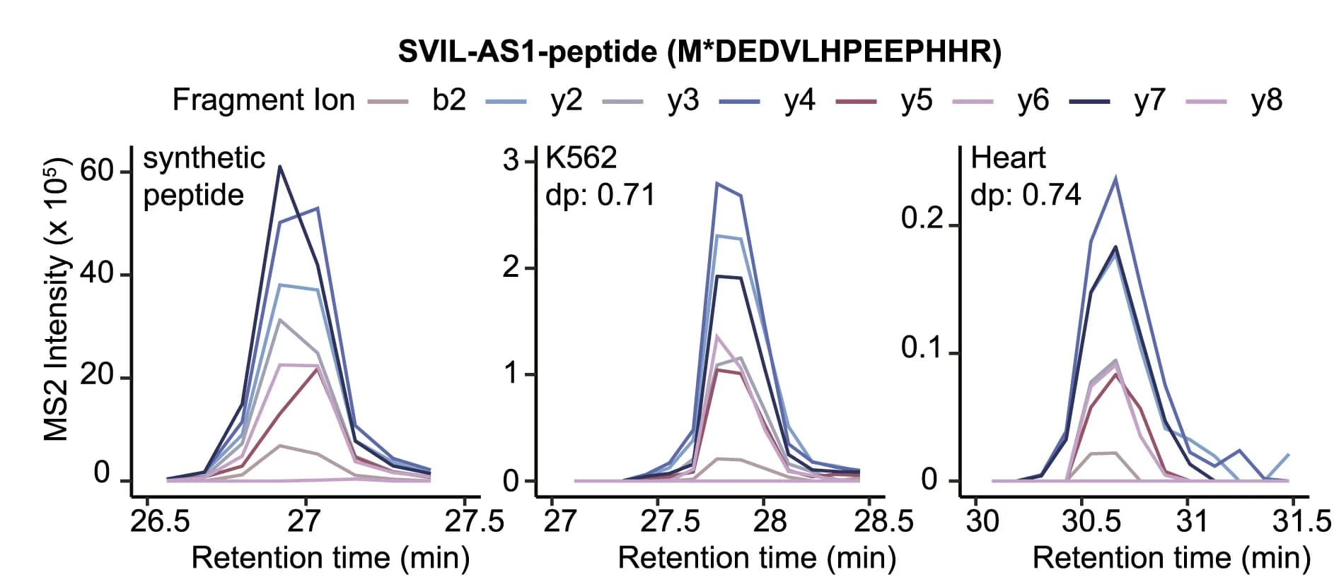 Open access visualization of Line Plot, Peptide Sequence, Chromatograms, SVIL-AS1-peptide, K562 Cells