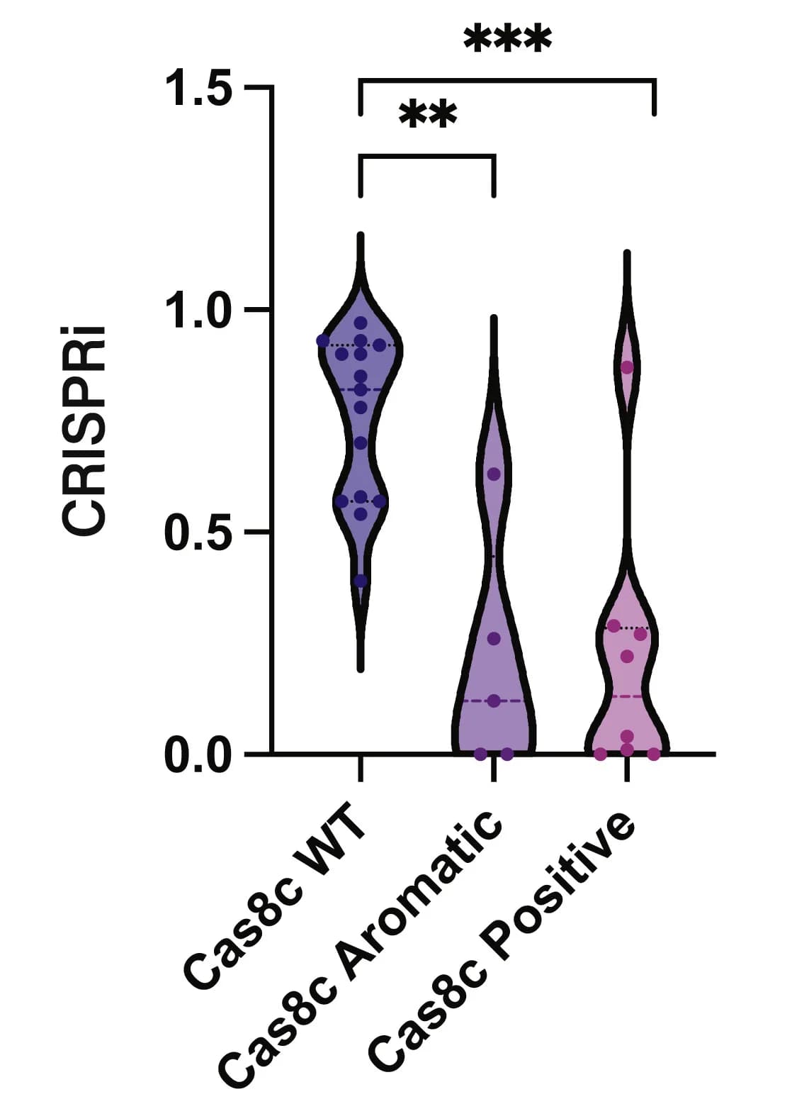 Open access visualization of Violin Plot, Scatter Plot, In vivo Assay, Quantification, Aromatic Residues