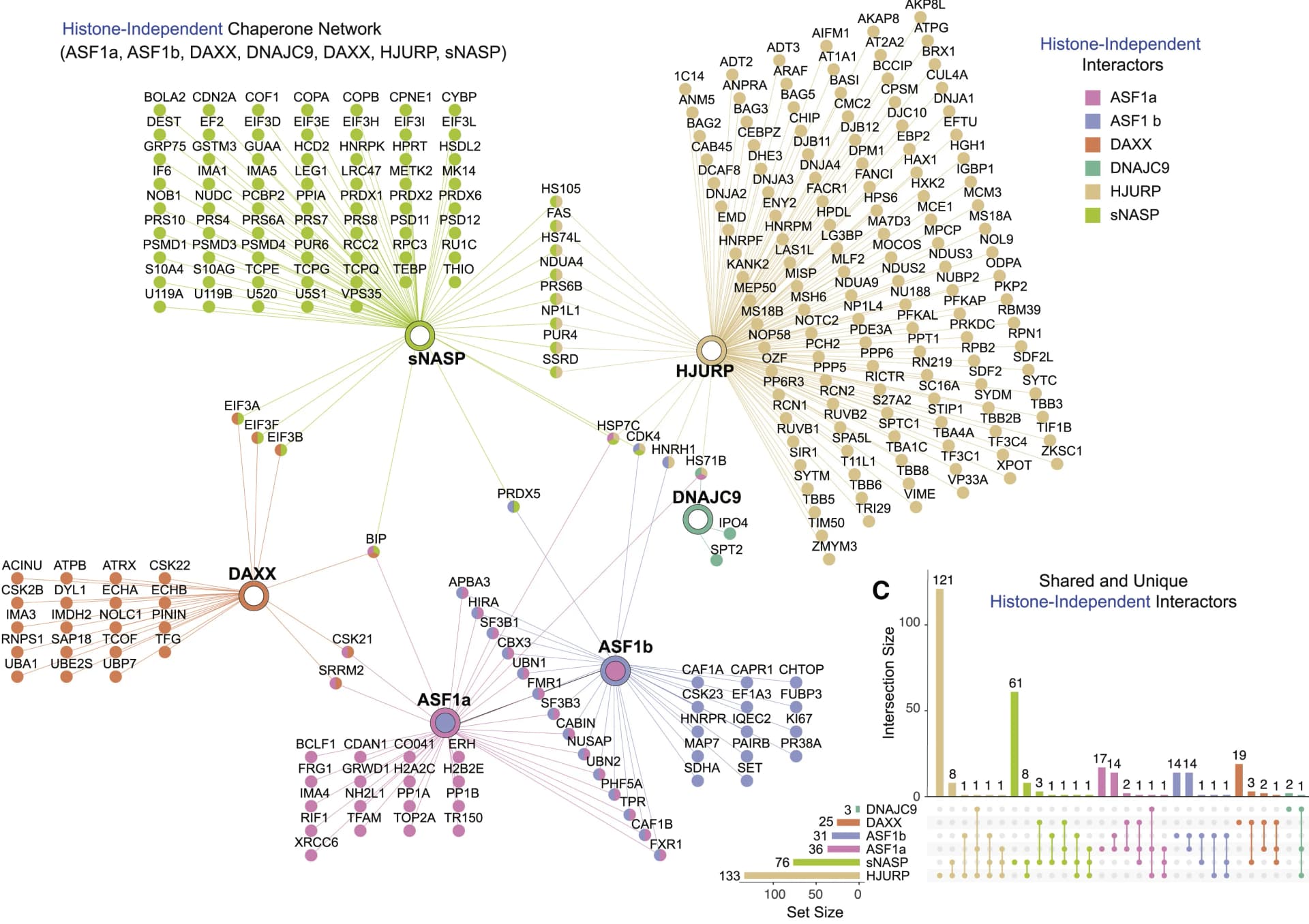 Open access visualization of Network, Bar Plot, UpSet, Network Analysis, Histone-Independent Interactors