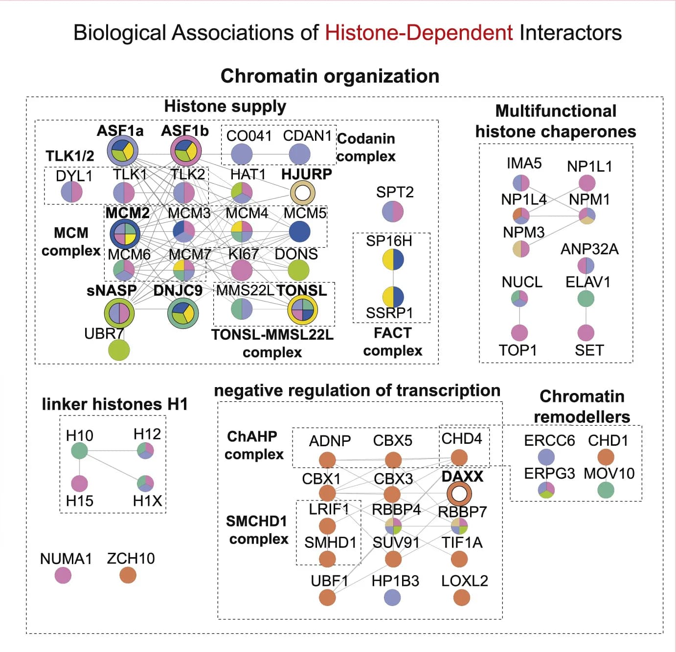 Open access visualization of Network, Pathway, Clustering, Histone-independent interactors, Functional associations