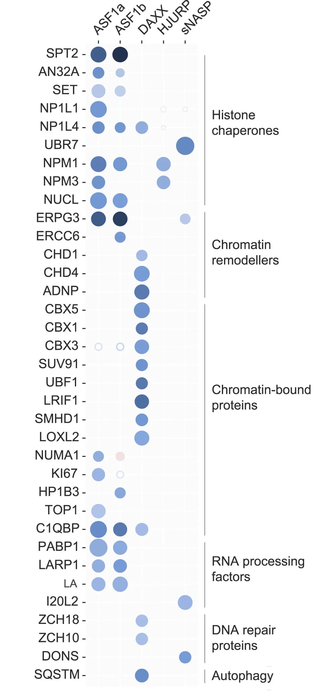 Open access visualization of Bubble Plot, Histone, SILAC, IP-MS, Protein
