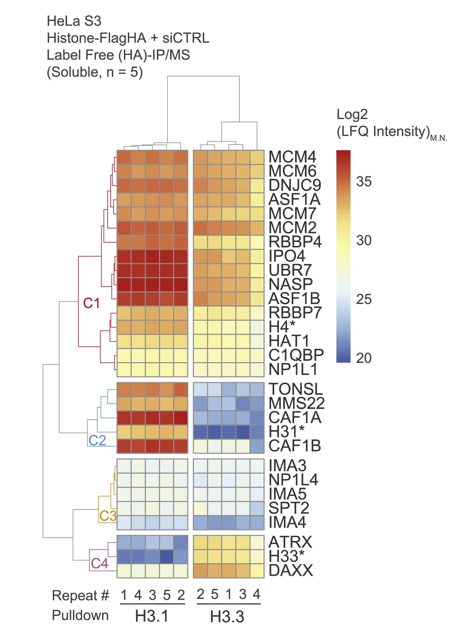 Open access visualization of Heatmap, Clustered, Clustering Analysis, Euclidean Distances, LFQ Intensities