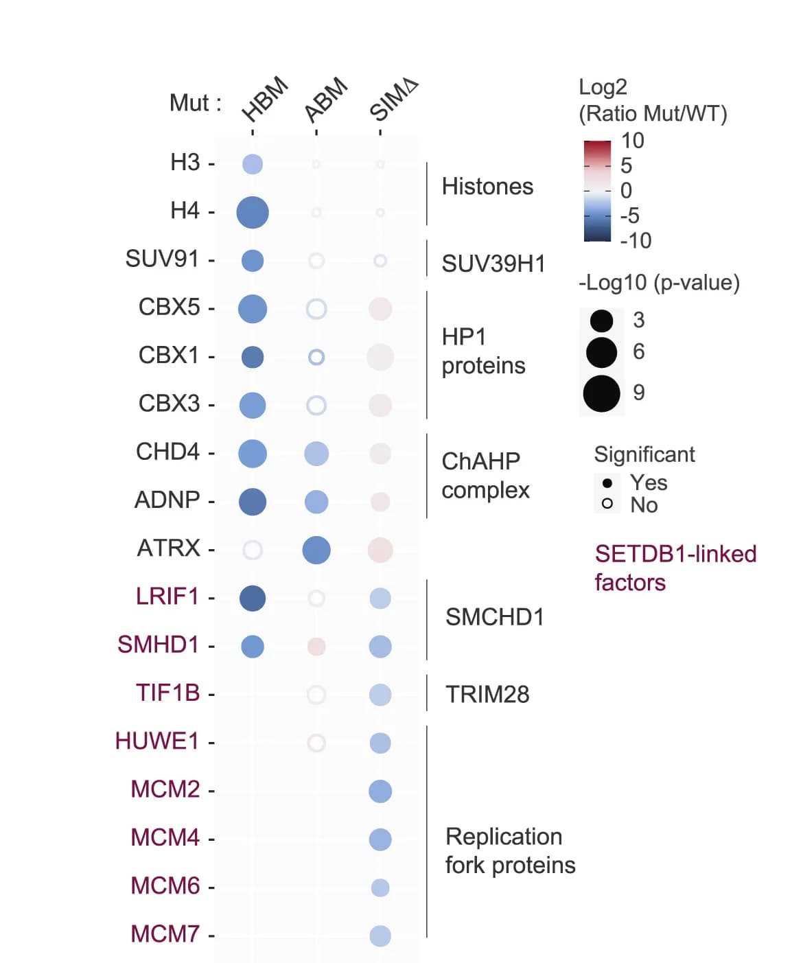 Open access visualization of Scatter Plot, Bubble Plot, DAXX HBM mutant, ABM mutant, SIMΔ mutants