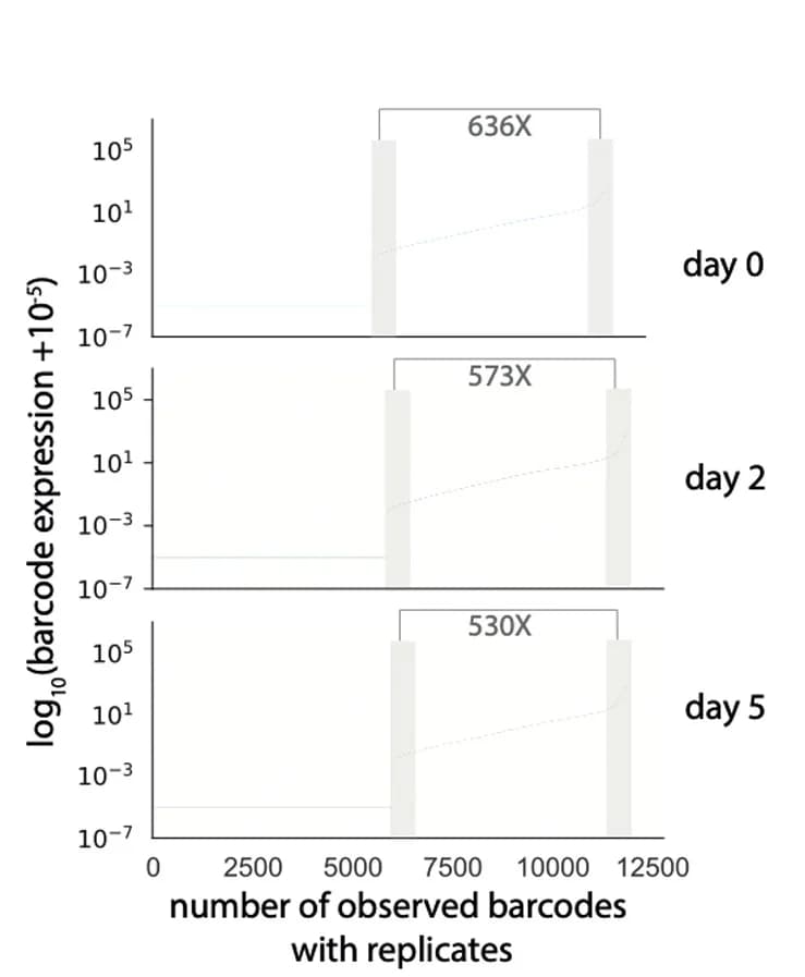 Open access visualization of Line Plot, Bar Plot, Basal Expression, iNeuron Differentiation, Barcodes