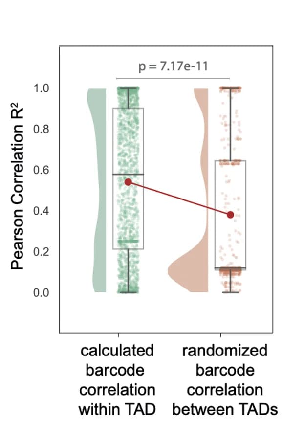 Open access visualization of Violin Plot, Box Plot, Scatter Plot, Line Plot, Pearson Correlation Coefficient