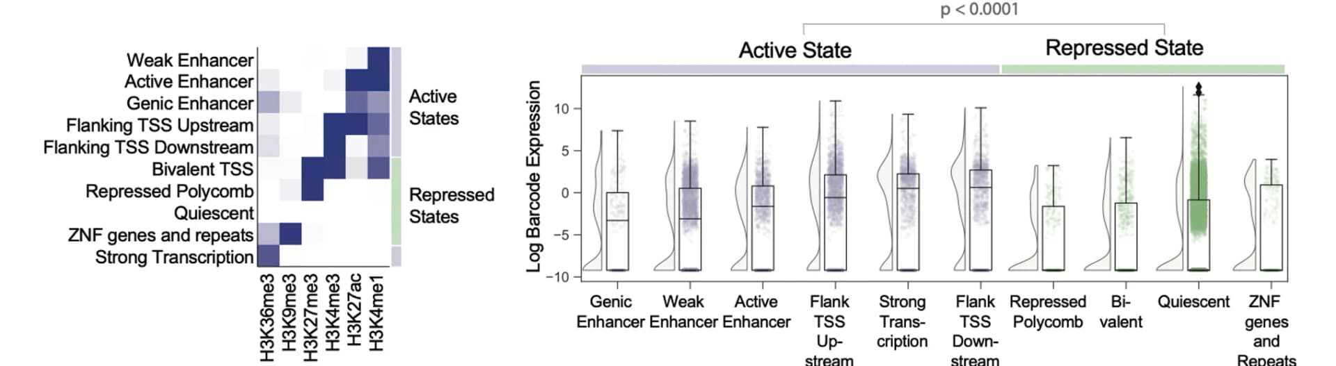 Open access visualization of Box Plot, Violin Plot, Heatmap, ChromHMM Model, Raincloud Plot