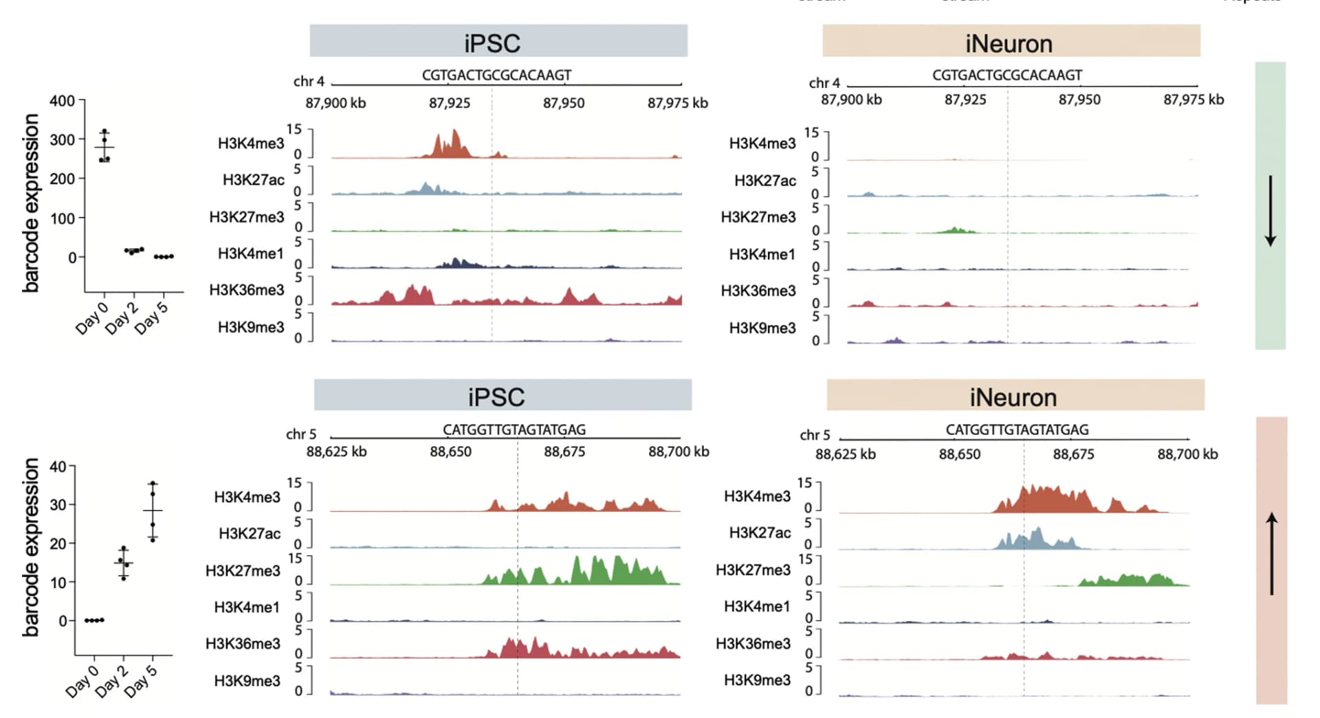 Open access visualization of Line Plot, Scatter Plot, Error Bars, ChIP-seq Signals, Differentiation