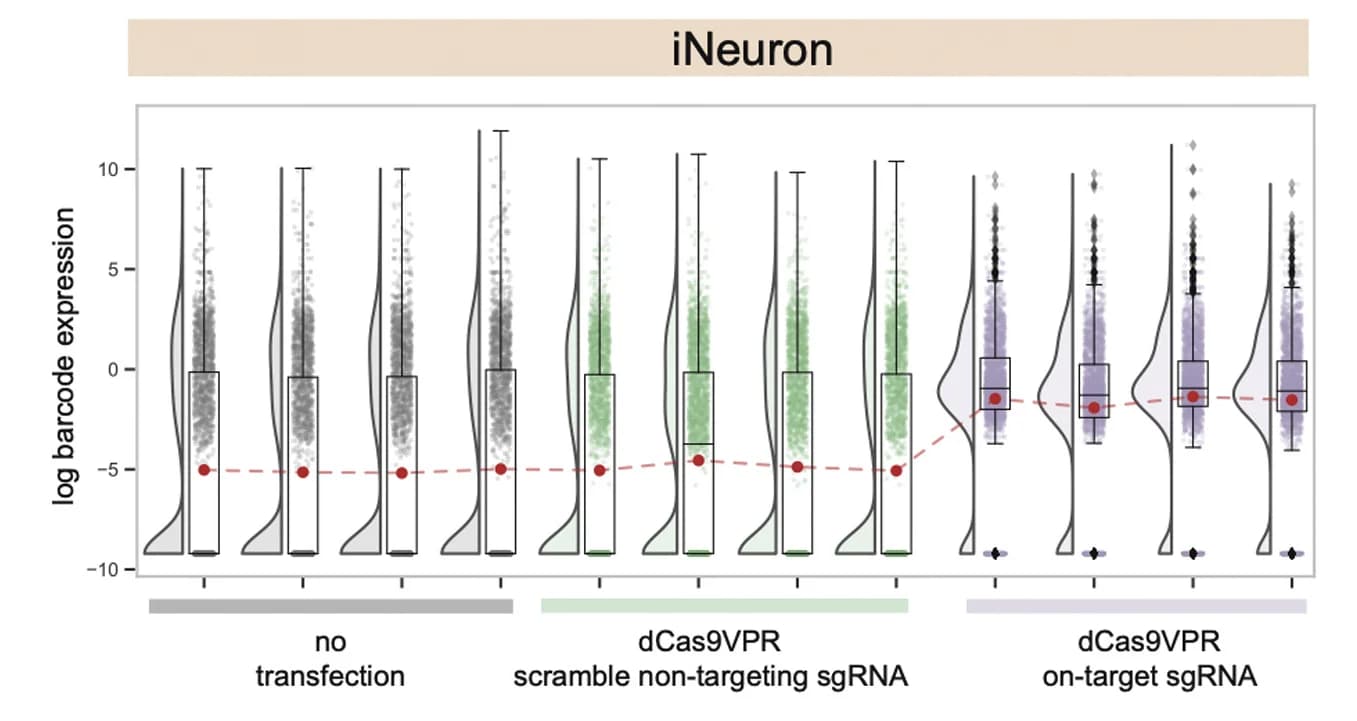 Open access visualization of Violin Plot, Box Plot, Line Plot, dCas9-VPR, Reporter Activation