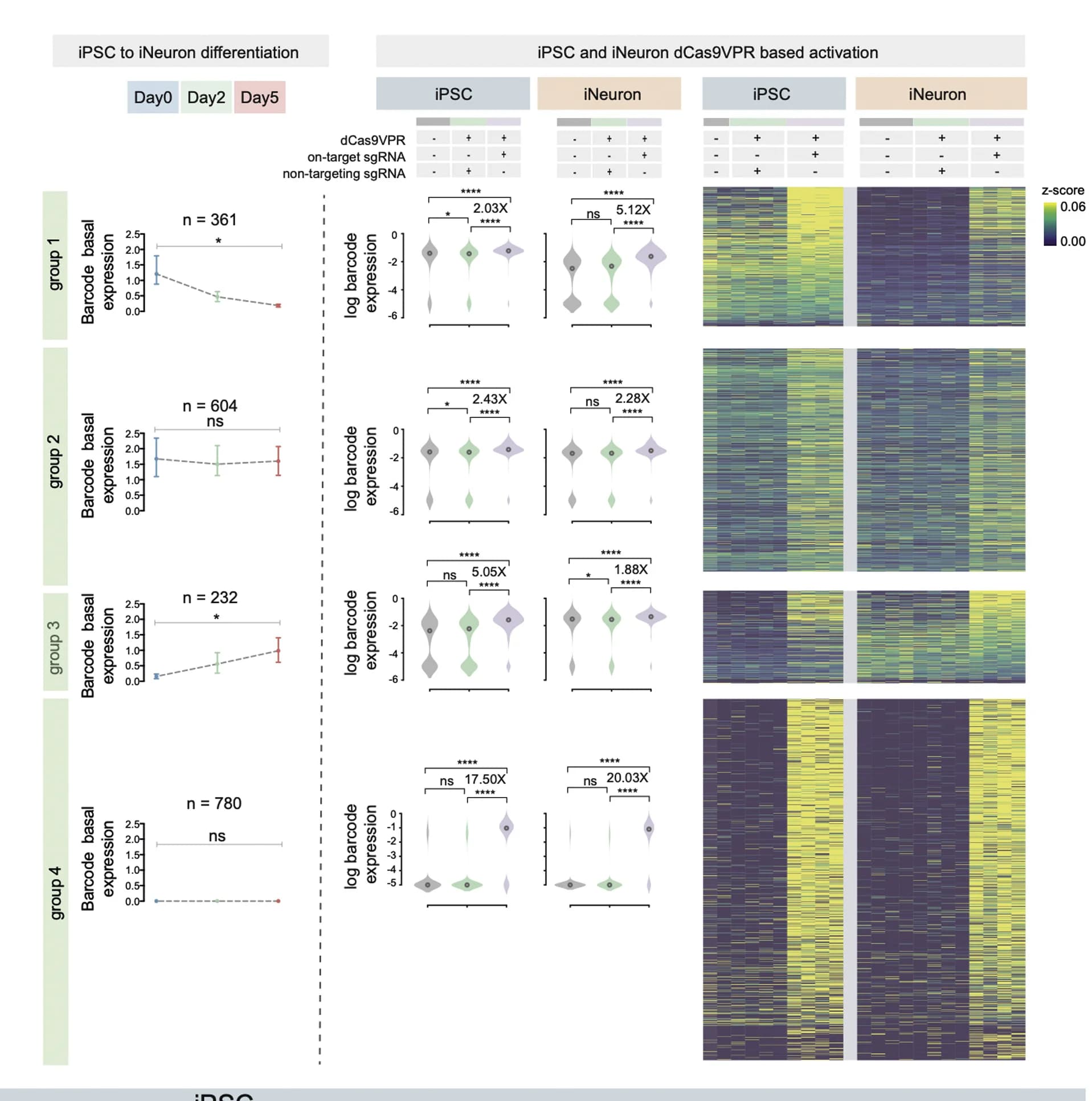 Open access visualization of Line Plot, Error Bars, Violin Plot, Heatmap, Basal Reporter Expression