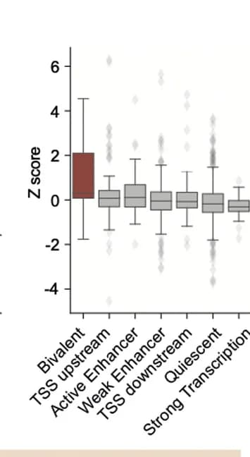 Open access visualization of Violin Plot, Box Plot, Scatter Plot, Zscore Distribution, Residuals