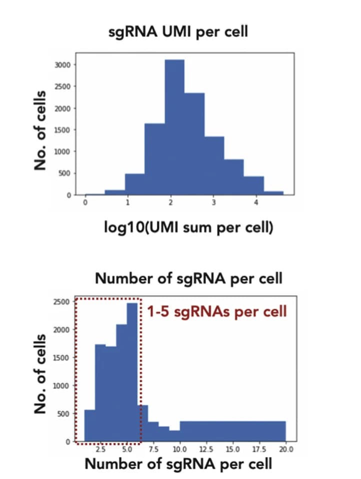 Open access visualization of Histogram, sgRNA UMI Counts, sgRNAs