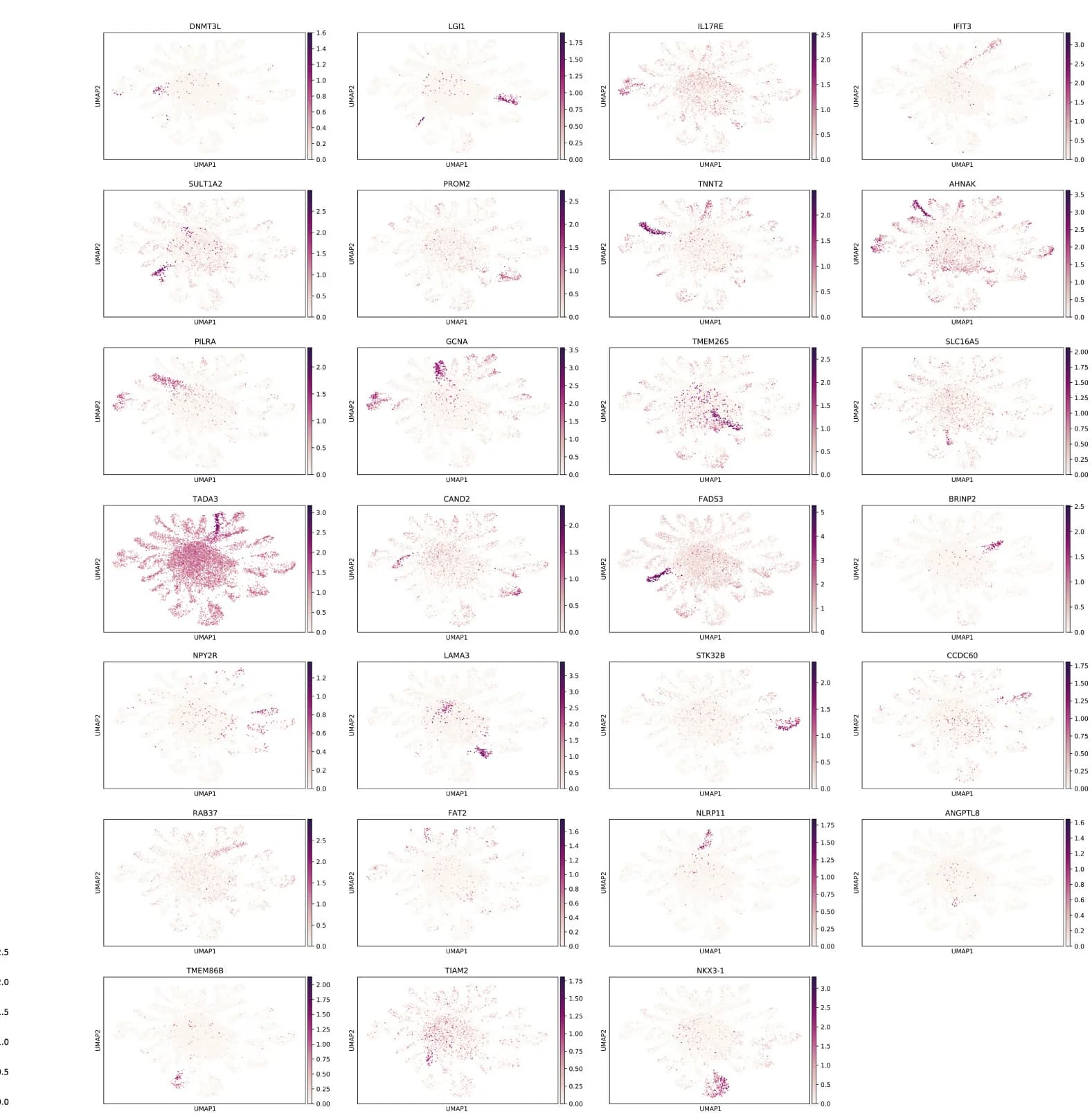 Open access visualization of UMAP, Single-cell transcriptomic data, Gene expression, CRISPRa, sgRNA