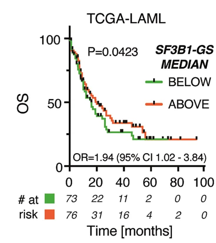 Open access visualization of Survival Curve, Kaplan-Meier Plot, Overall Survival, SF3B1-GS, TCGA-LAML Patients
