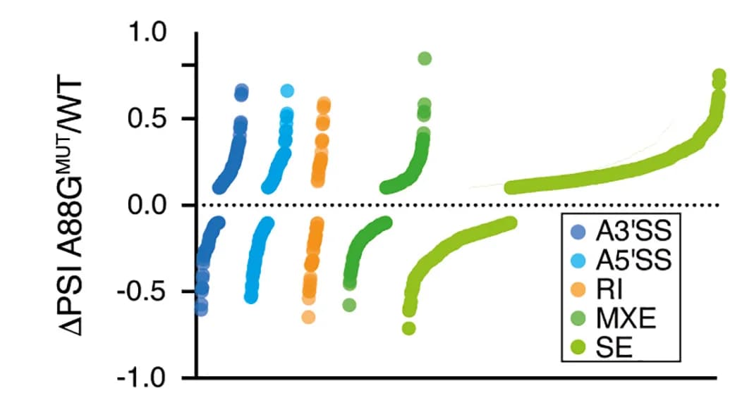 Open access visualization of Scatter Plot, Waterfall Plots, Percent Spliced-In, Splicing Events, MOLM-13 Cells