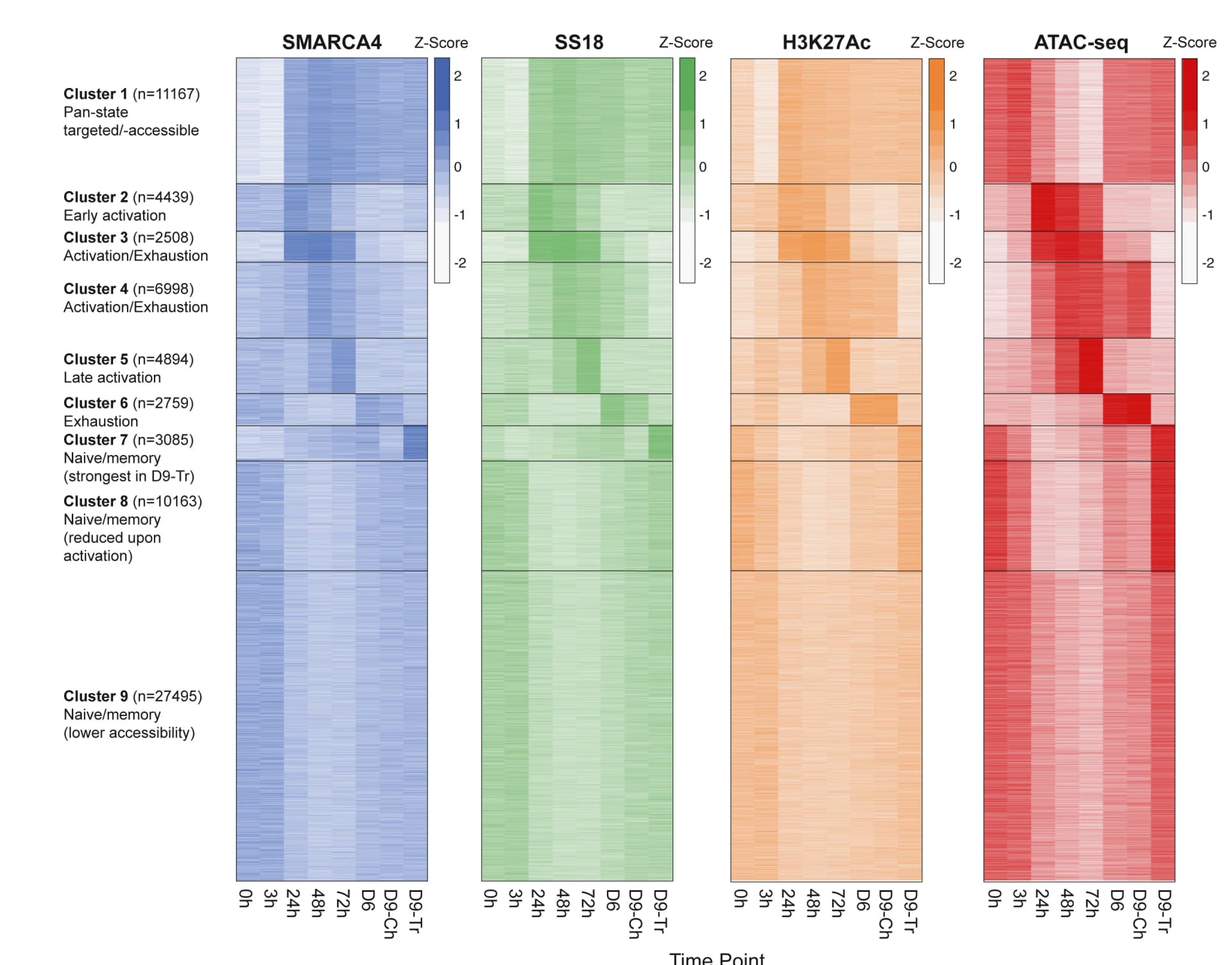 Open access visualization of Heatmap, K-means Clustering, SMARCA4, SS18, H3K37Ac