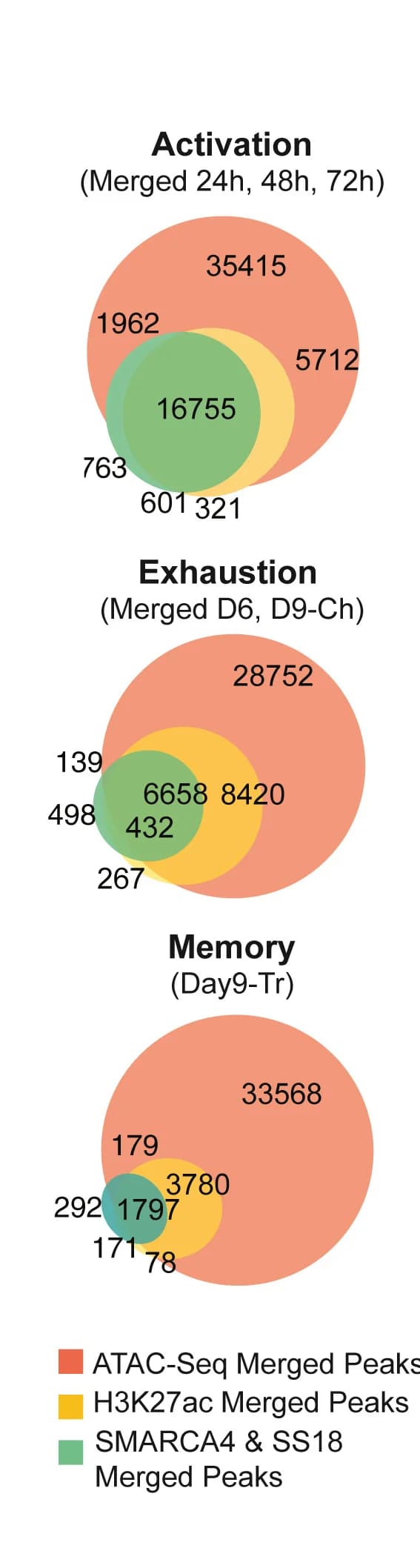 Open access visualization of Venn Diagram, Venn Diagrams, SMARCA4, SS18, H3K27Ac CUT&Tag