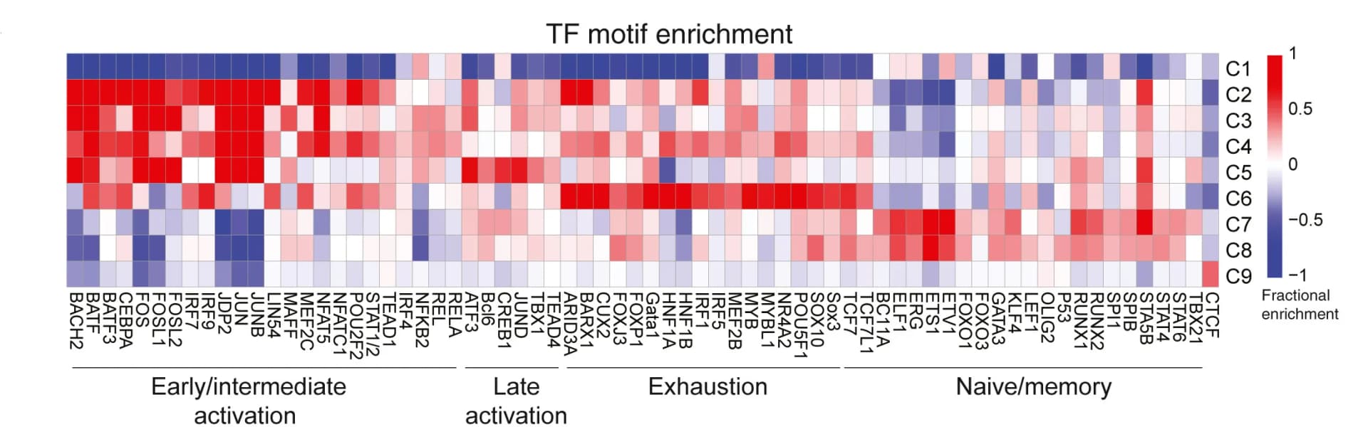 Open access visualization of Heatmap, Motif Enrichment, Clusters
