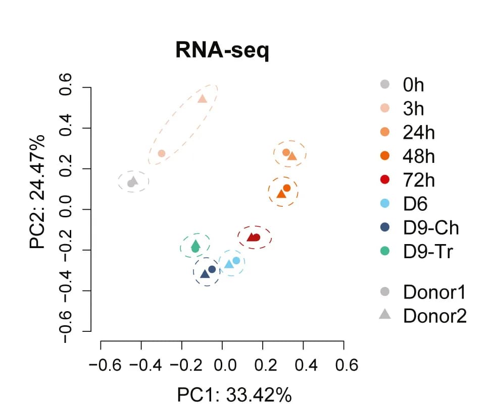 Open access visualization of Scatter Plot, PCA, RNA-seq, T Cells, Donors