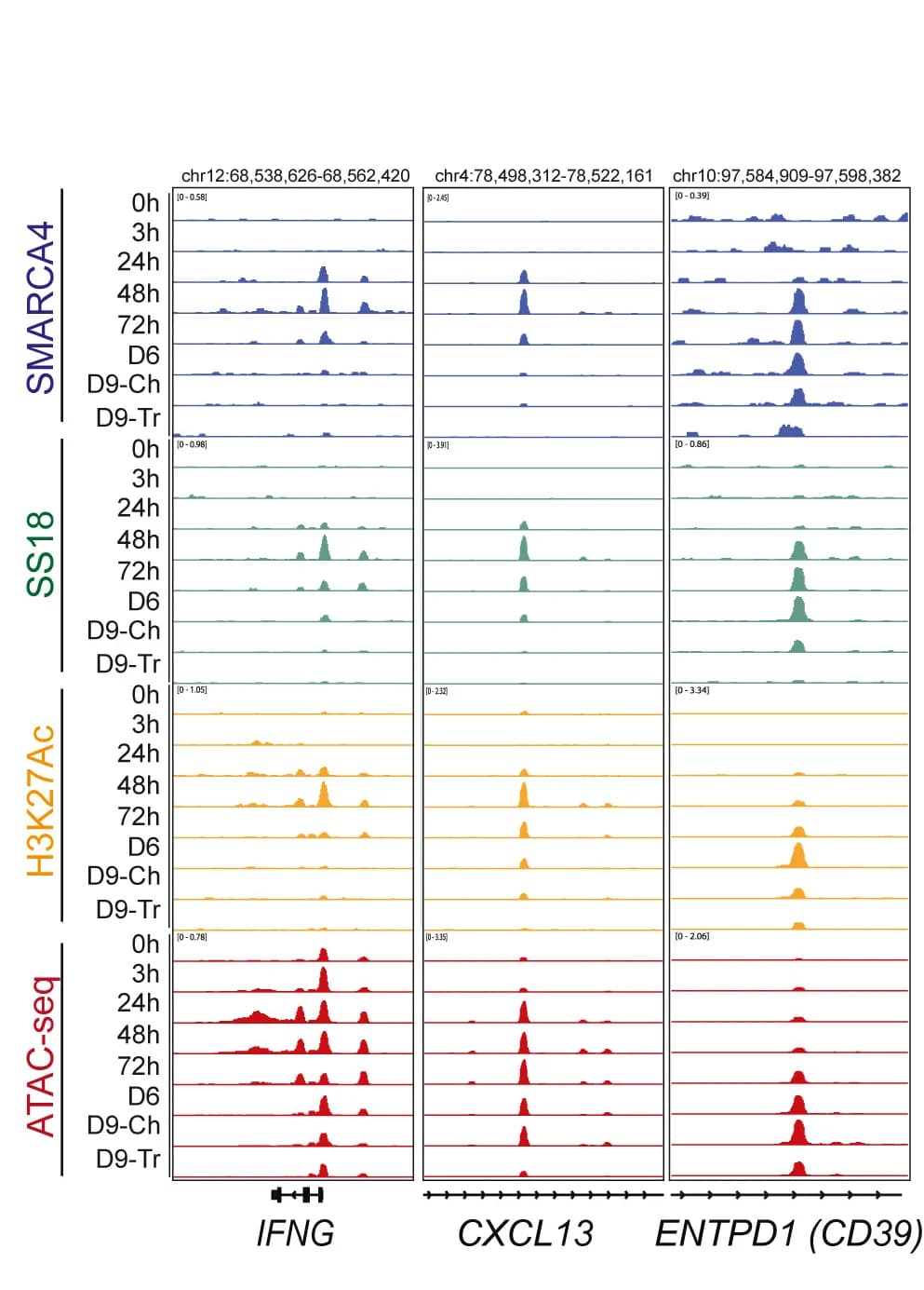 Open access visualization of Line Plot, Density Plot, SMARCA4, SS18, H3K27ac