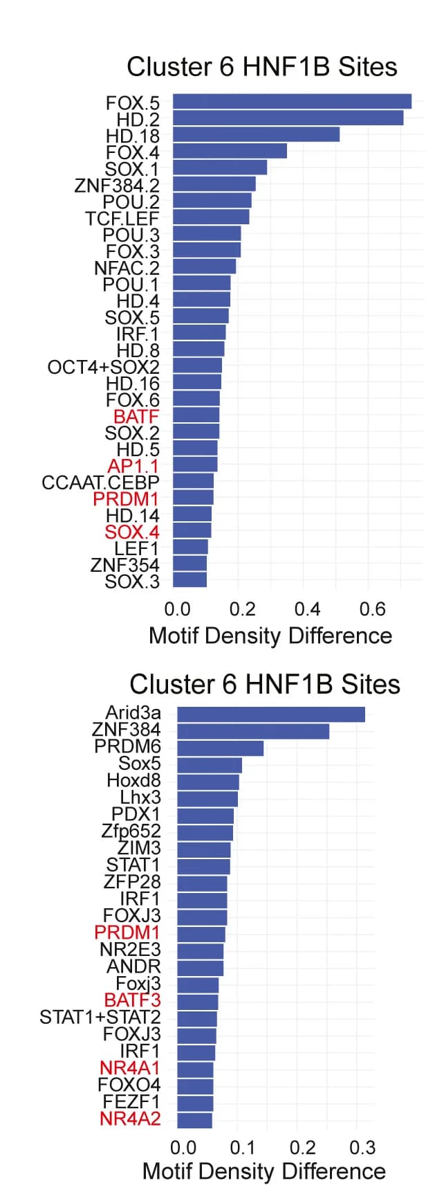 Open access visualization of Bar Plot, Motif Enrichment, HNF1B Target Sites, Cluster 6