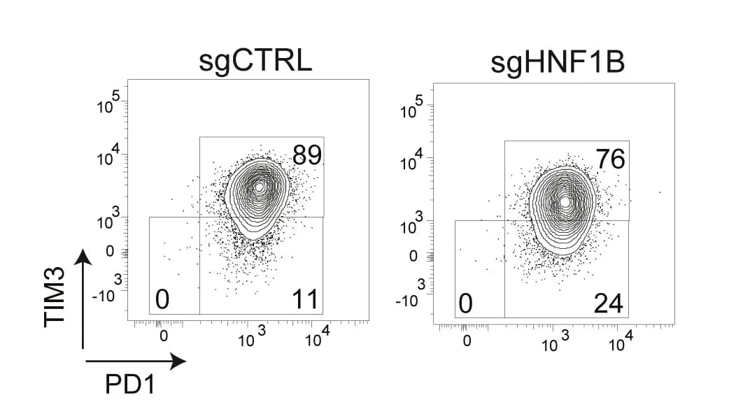 Open access visualization of Scatter Plot, Density Plot, PD1, TIM3, Immunoprofiling
