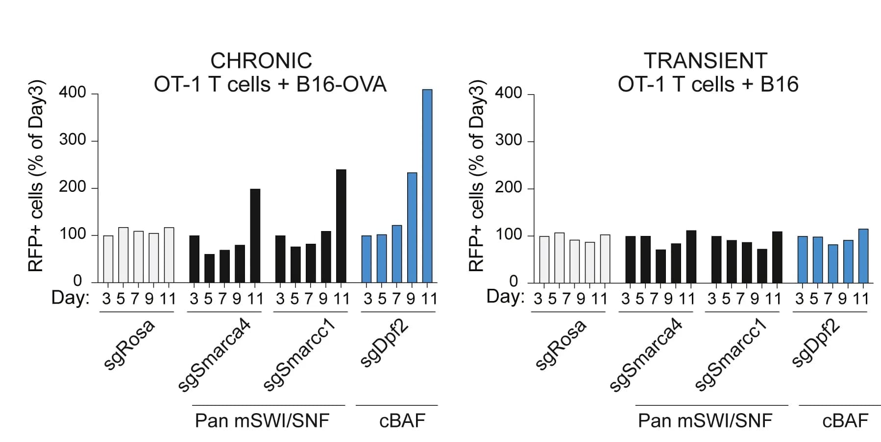 Open access visualization of Bar Plot, Bar Graph, RFP+ Cells, Chronic Stimulation, Transient Stimulation