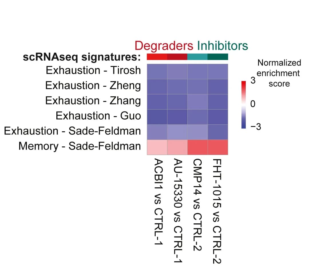Open access visualization of Heatmap, Gene Set Enrichment Analysis, Exhaustion, Memory Signatures, scRNA-seq Datasets
