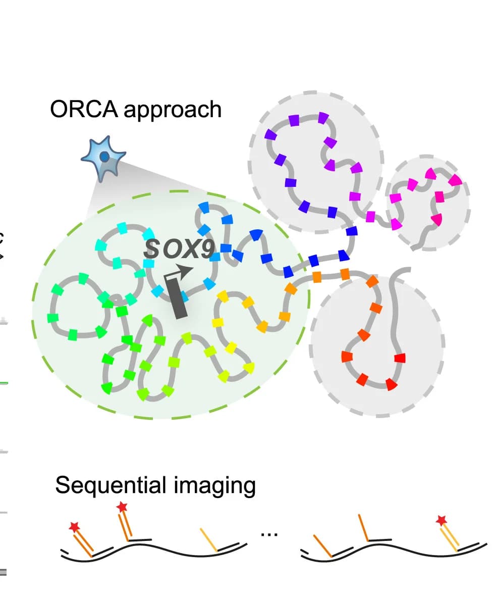 Open access visualization of Workflow, Illustration, ORCA, Strategy