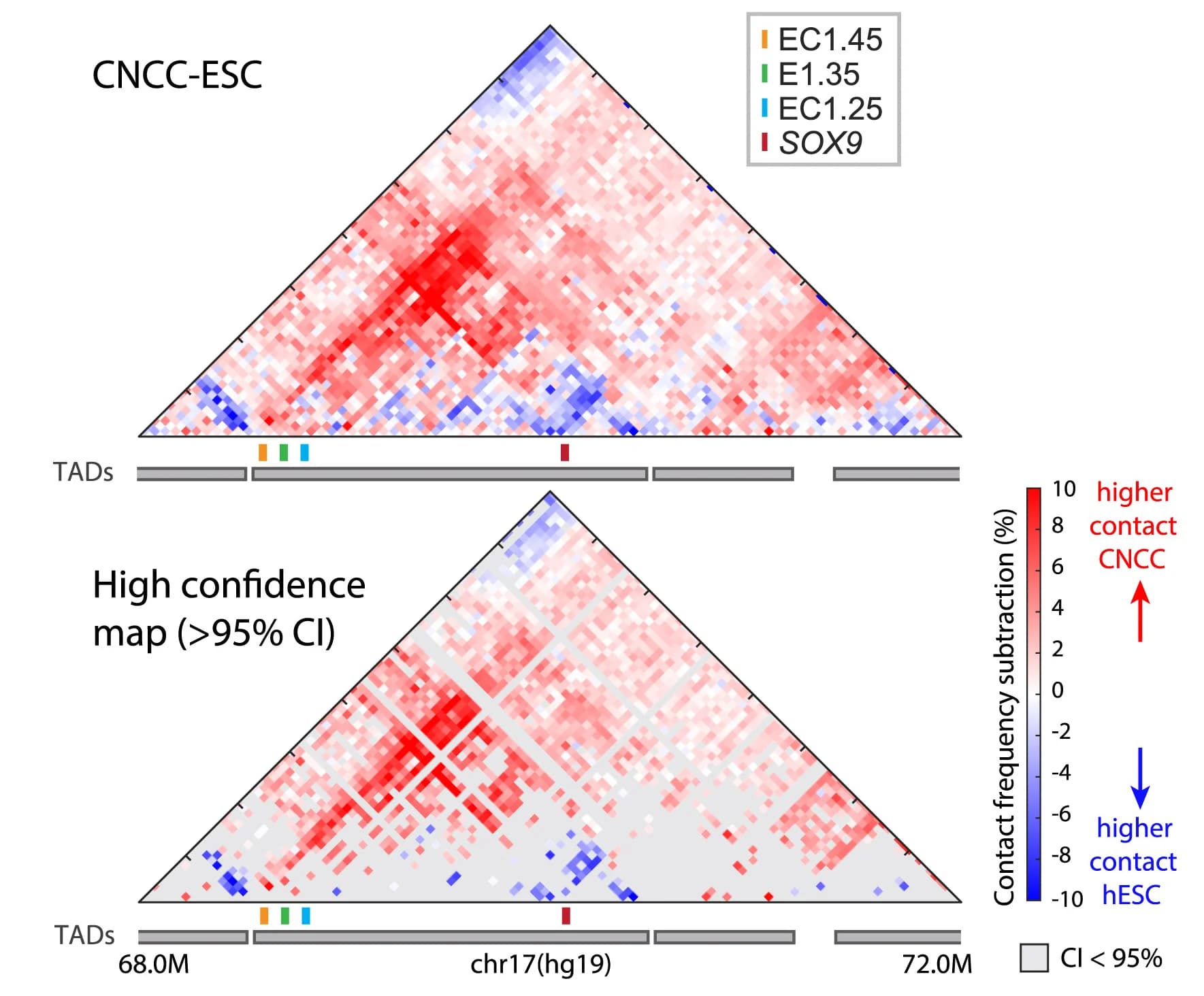 Open access visualization of Heatmap, Contact Frequency Subtraction Maps, CNCC, hESC, Confidence Interval