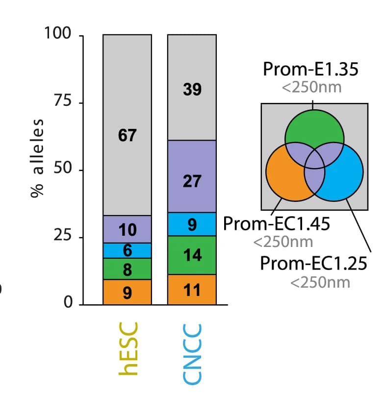 Open access visualization of Stacked Bar Plot, Venn Diagram, Promoter Proximity, hESC, CNCC