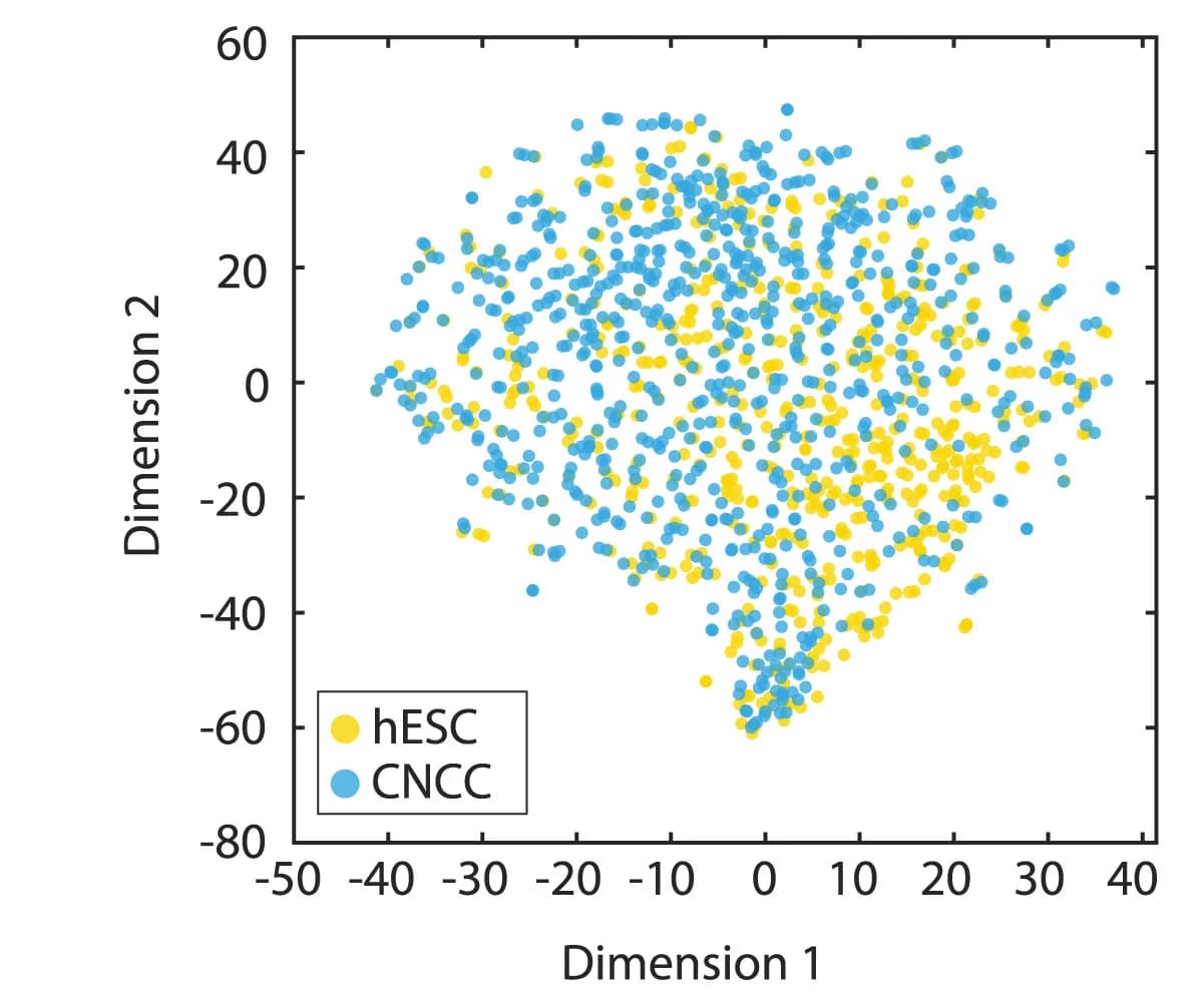 Open access visualization of Scatter Plot, tSNE plot, SOX9 promoter, SOX9 TAD