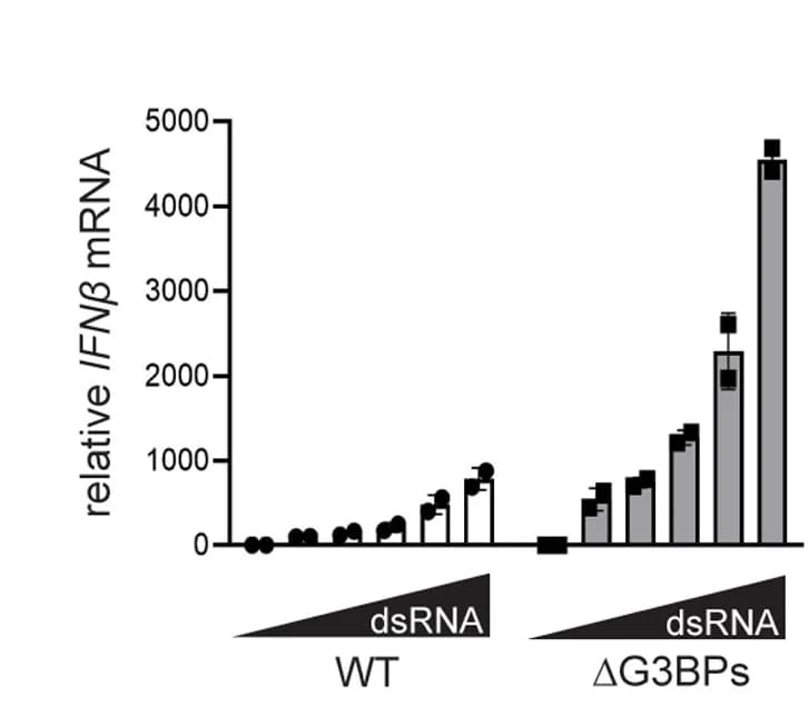 Open access visualization of Bar Plot, Error Bars, IFNβ mRNA, dsRNA