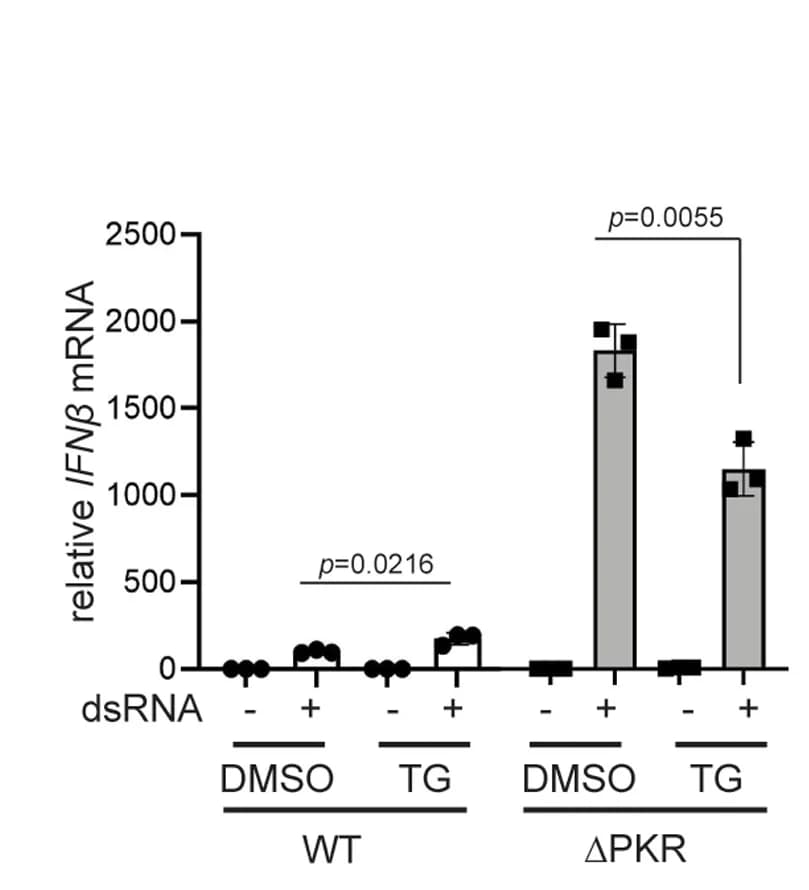 Open access visualization of Bar Plot, Error Bars, Antiviral Signaling, U2OS Cells, Wild Type