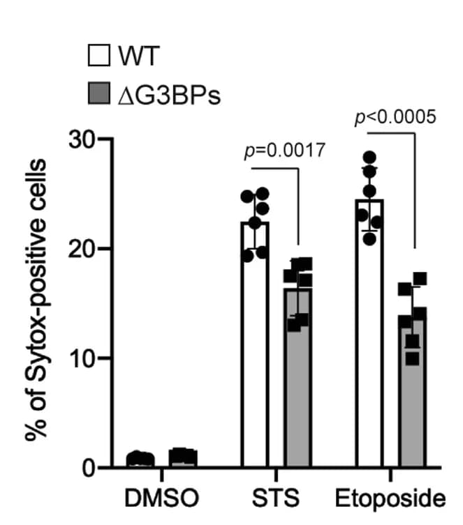 Open access visualization of Bar Plot, Clustered, Error Bars, Cell Death, Staurosporine