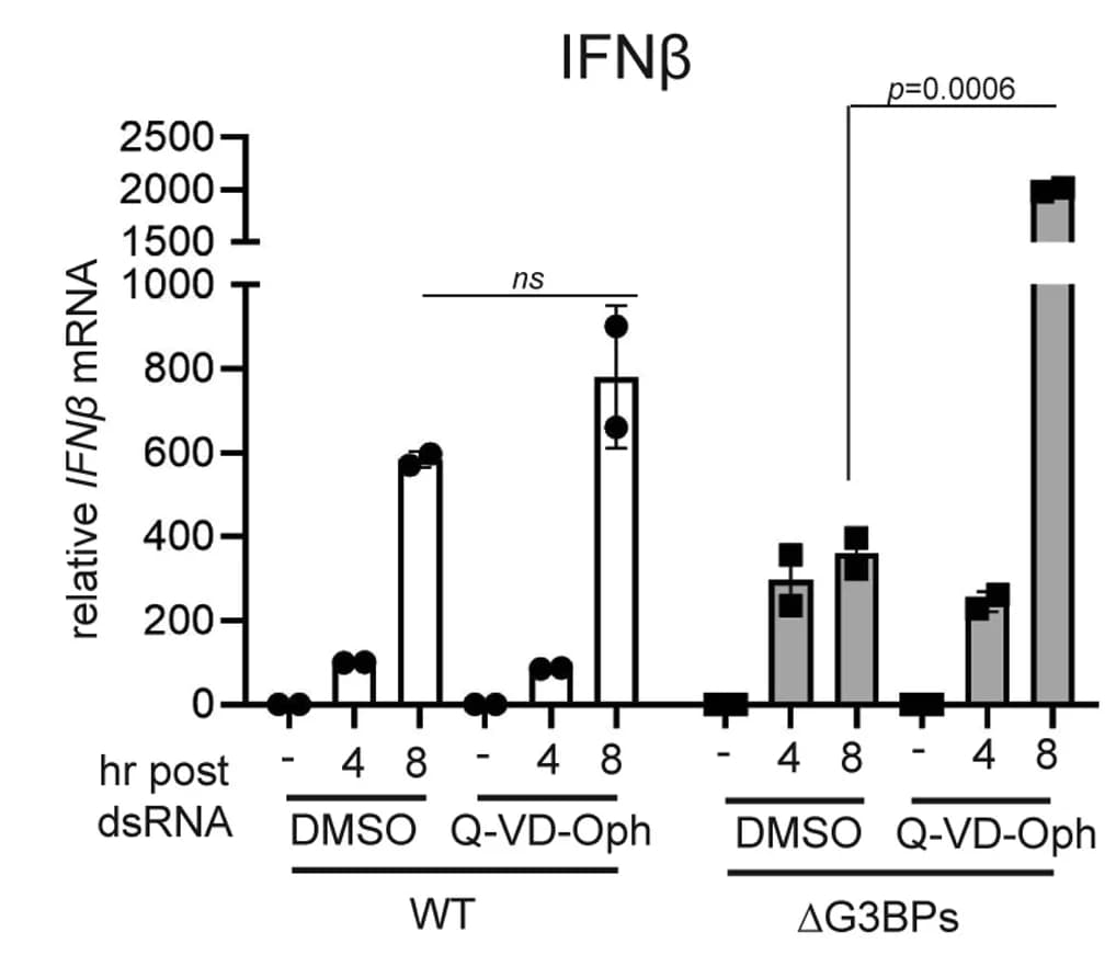 Open access visualization of Bar Plot, Error Bars, Q-VD-Oph, IFN mRNA Induction, A549 Cells