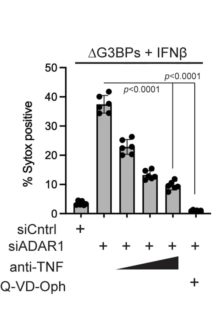 Open access visualization of Bar Plot, Error Bars, Anti-TNF, Pan-Caspase Inhibitor, Q-VD-Oph