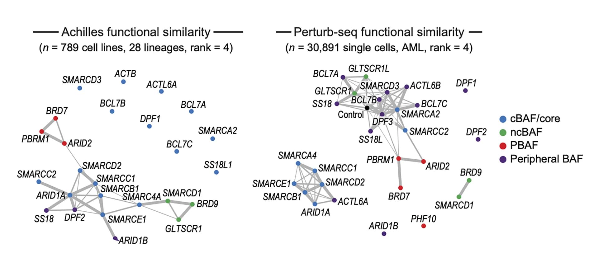 Open access visualization of Network, Subunits, Core BAF, ncBAF, PBAF