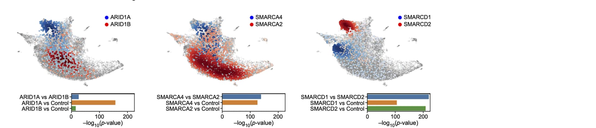 Open access visualization of Scatter Plot, UMAP, Bar Plot, UMAP Embedding, Cell Profiles