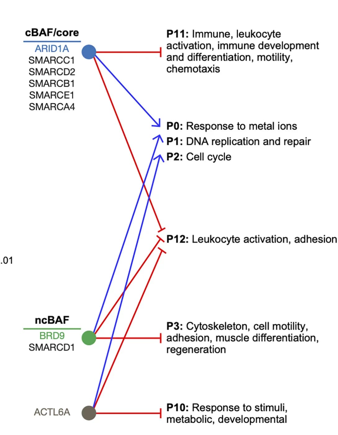 Open access visualization of Pathway, Perturbation, Gene Programs, GO Terms
