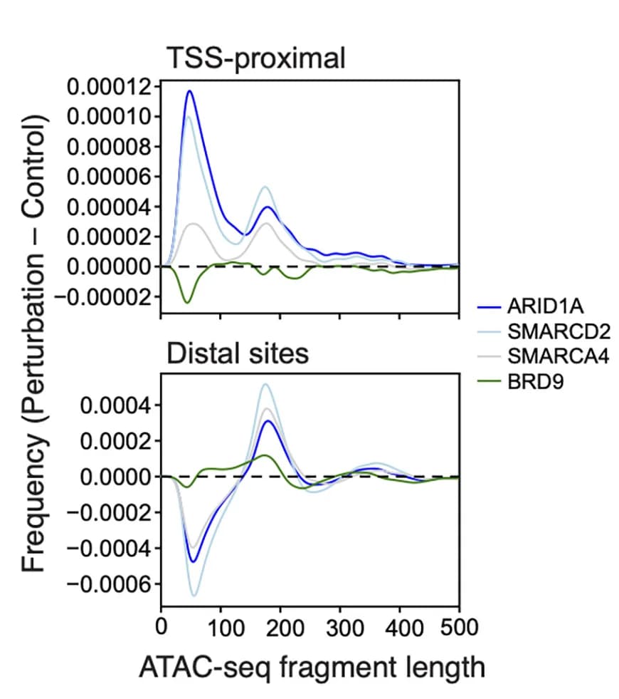 Open access visualization of Line Plot, Fragment length distribution, Perturbed cells, Control cells, TSS