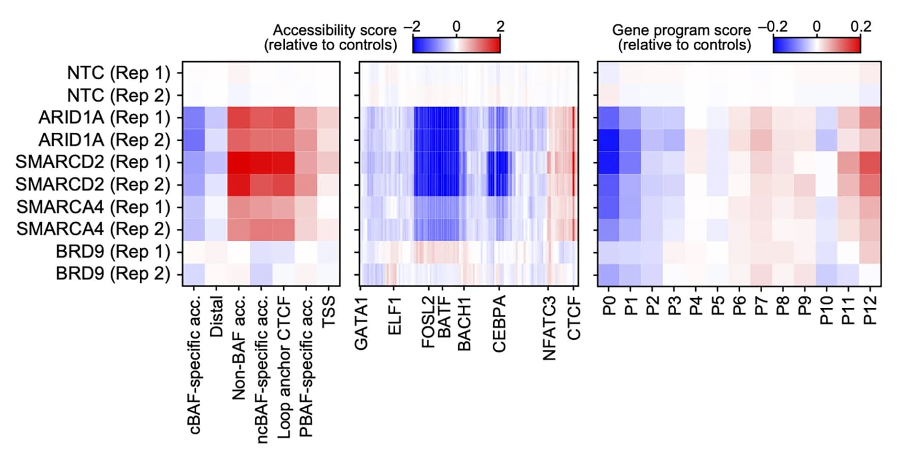 Open access visualization of Heatmap, ChromVAR accessibility scores, Genomic regions, Motifs, Perturbation