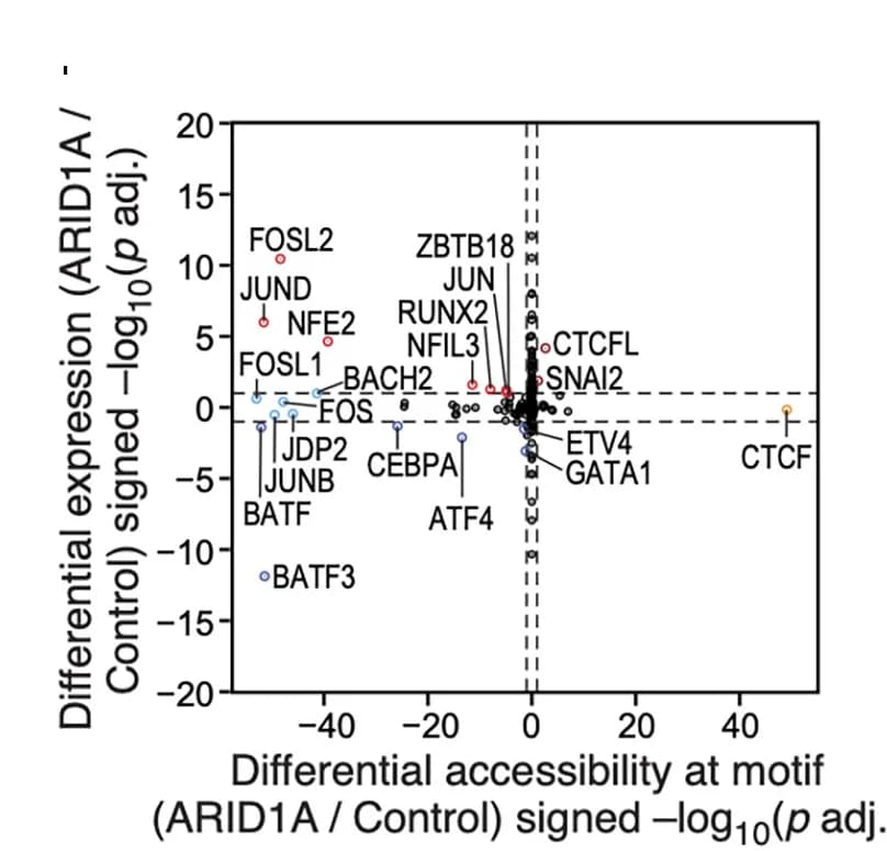Open access visualization of Scatter Plot, Volcano Plot, Bonferroni, t test, Chromatin accessibility