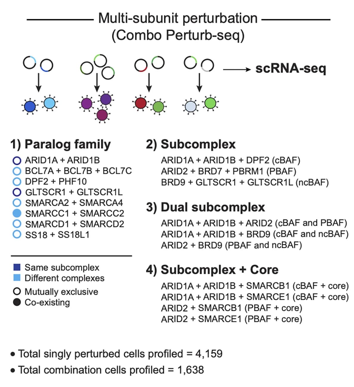Open access visualization of Workflow, Flowchart, Illustration, Perturb-seq experiment