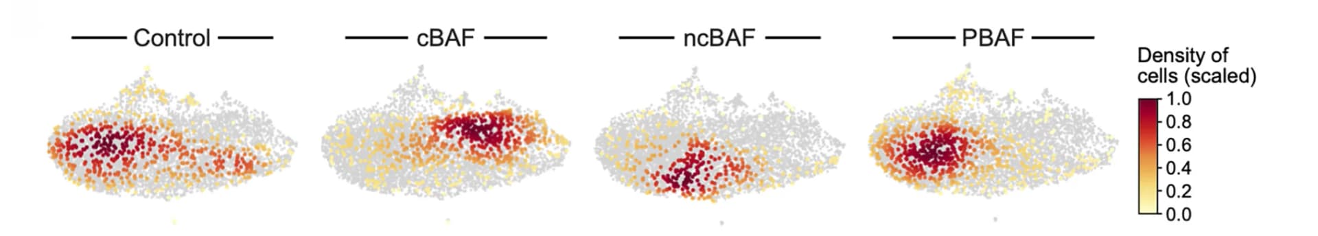 Open access visualization of Scatter Plot, UMAP, UMAP embedding, Cell profiles, Perturb-seq experiment