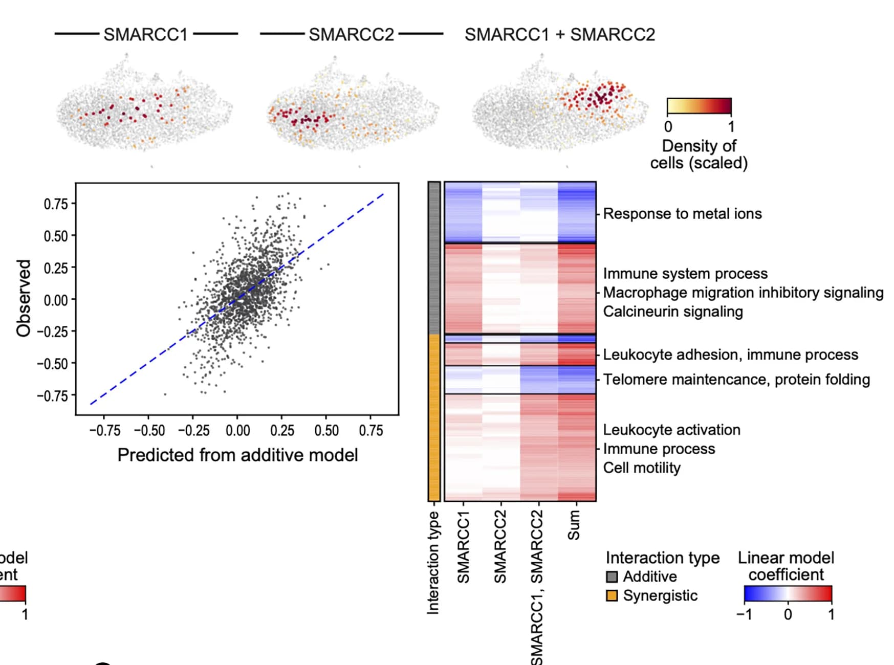 Open access visualization of Scatter Plot, Heatmap, UMAP embedding, Cell profiles, Perturb-seq experiment