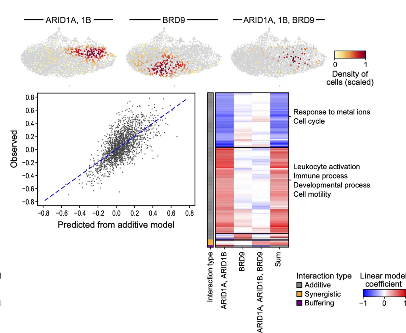 Open access visualization of Scatter Plot, Heatmap, UMAP, Cell Profiles, Perturb-seq